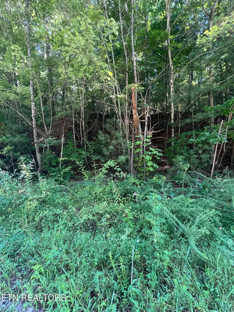 0.22 ac Hickory Hollow Rd, Crossville, TN 38572 - #3