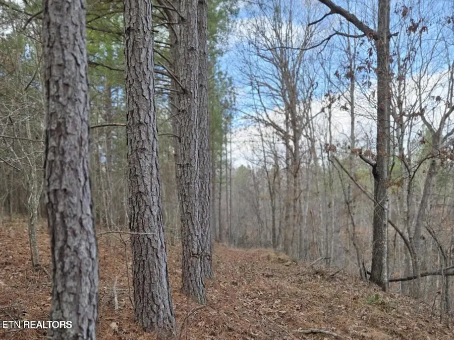 0 Us 27, Sunbright, TN 37872 - #3