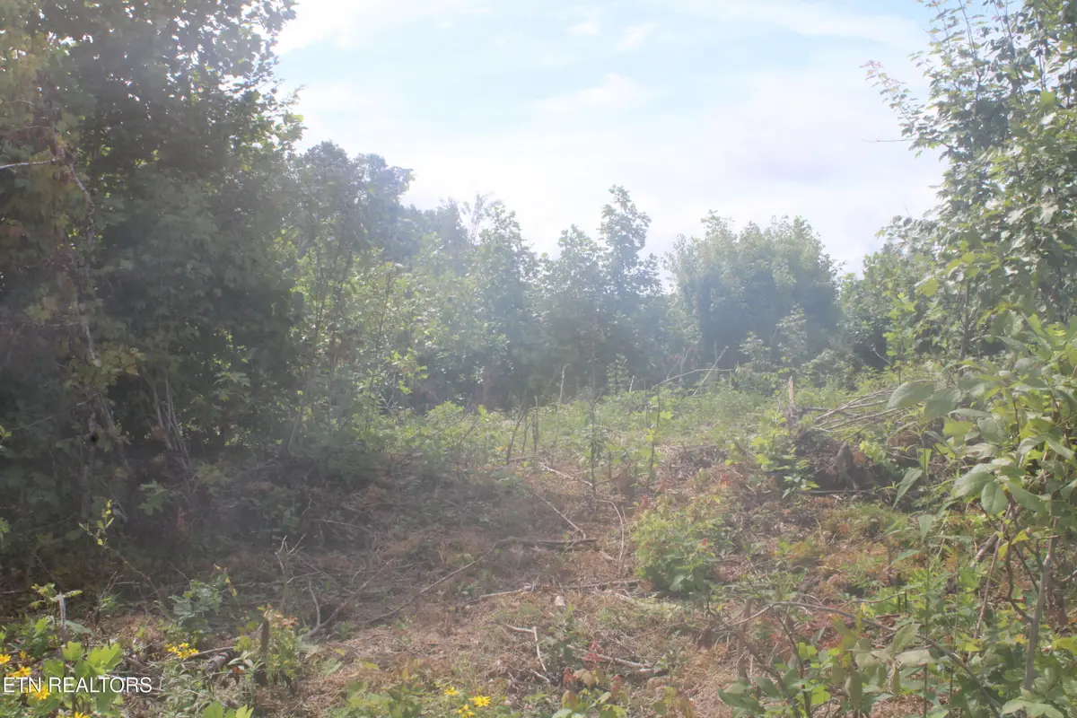 2058 Pickett Park Hwy, Jamestown, TN 38556 - #1