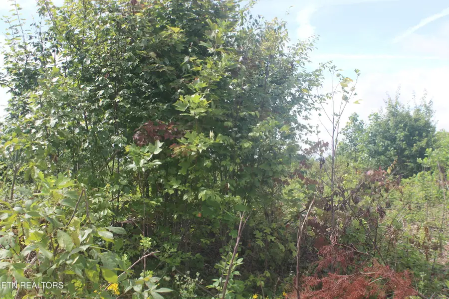 2058 Pickett Park Hwy, Jamestown, TN 38556 - #2