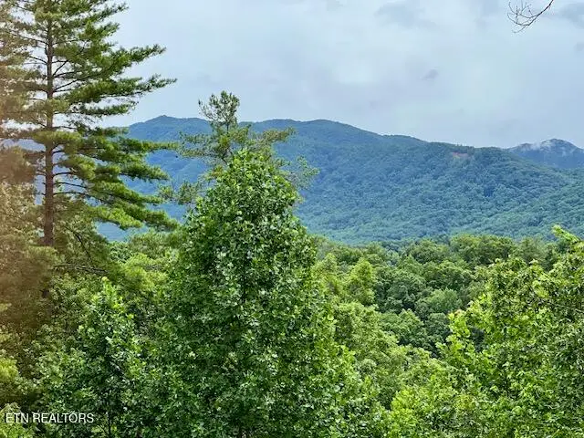 228 Ace Gap Rd, Townsend, TN 37882 - #2