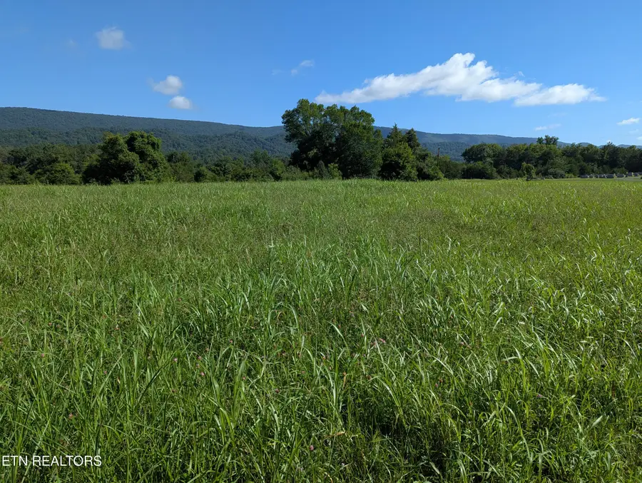 1 Doc Hill Road #049 010.**, Rutledge, TN 37861 - #3