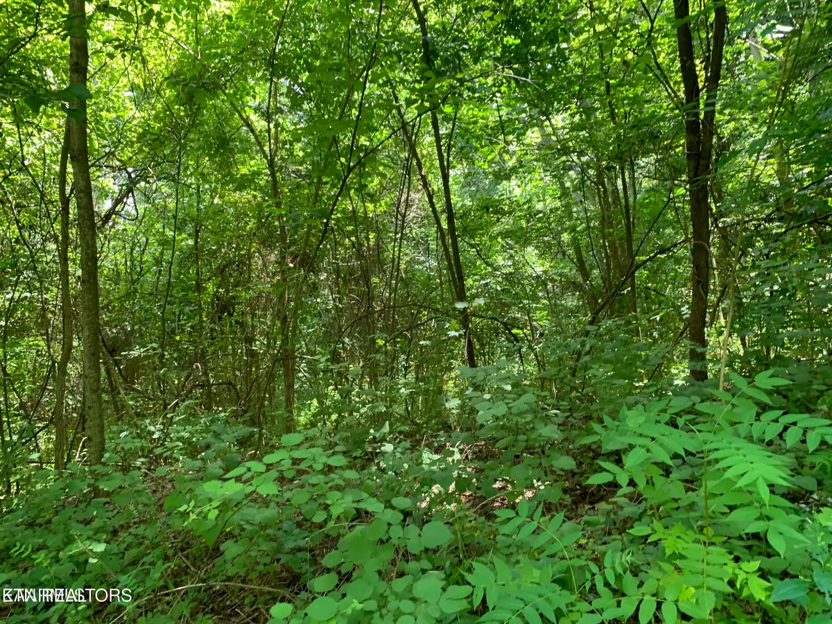 Cavalry Rd, New Tazewell, TN 37825 - #1