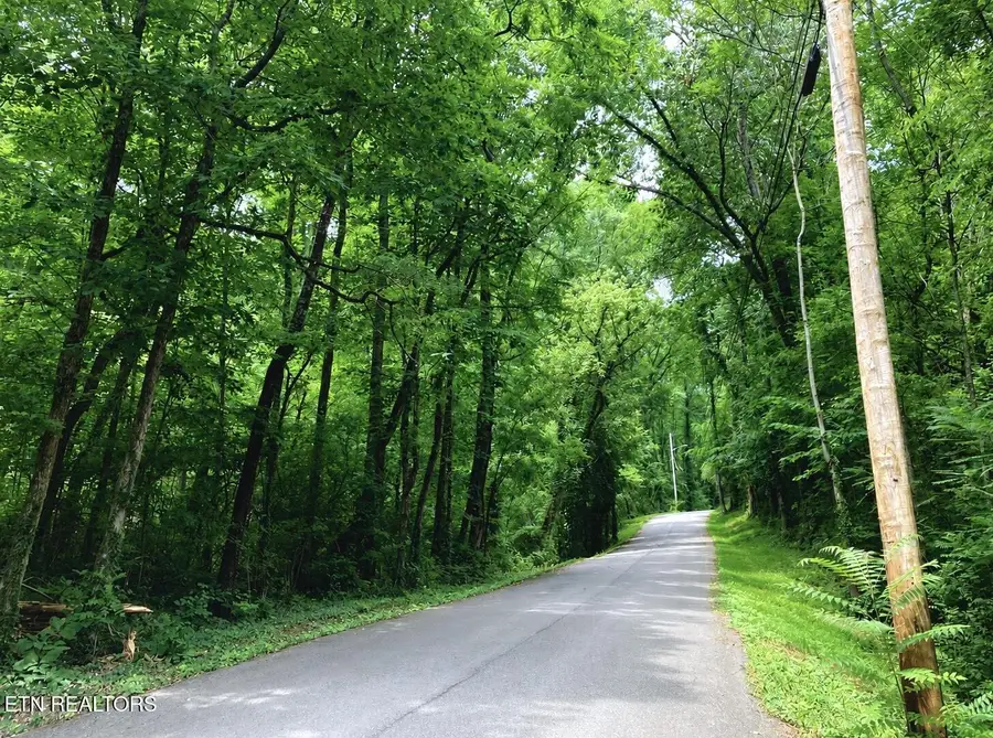 4921 Wise Hills Rd #1, Knoxville, TN 37920 - #2