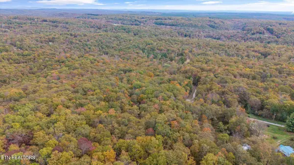 Raeanne Drive, Spring City, TN 37381