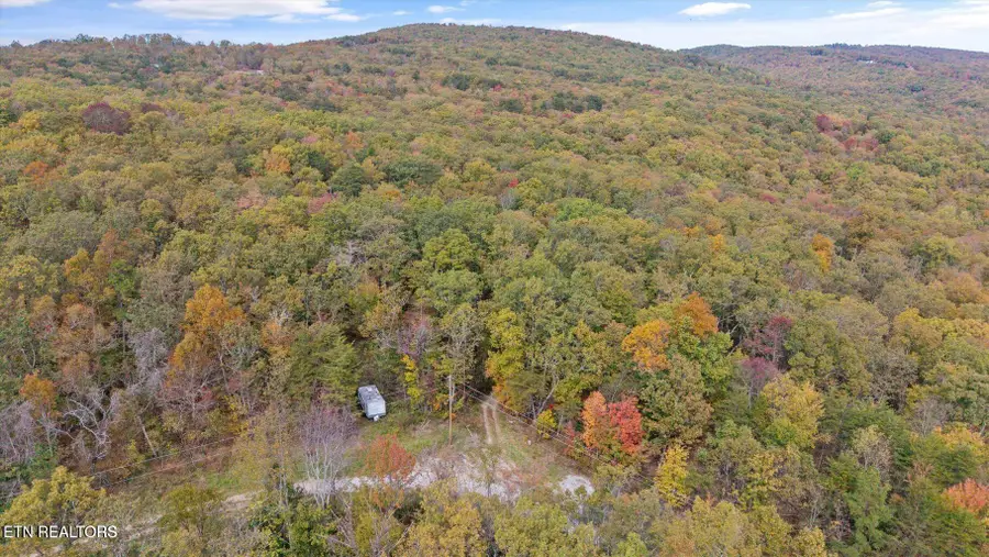 Raeanne Drive, Spring City, TN 37381 - #2