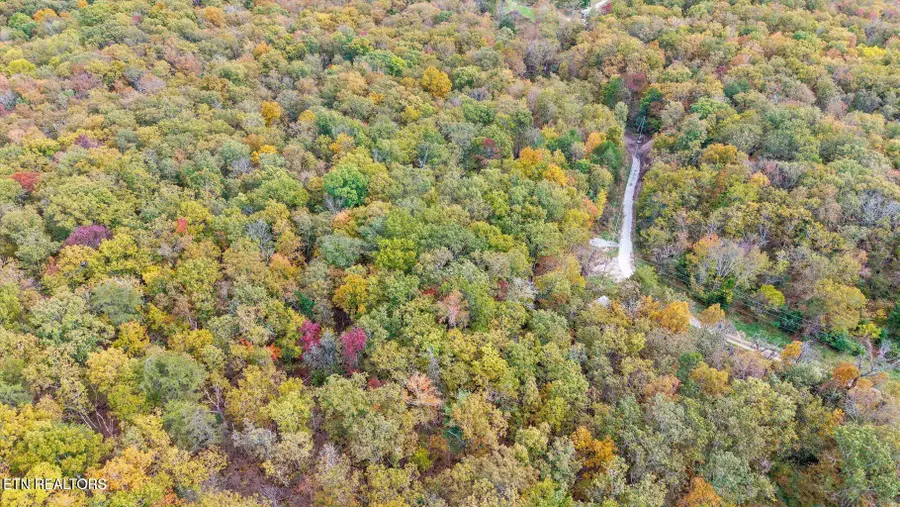 Raeanne Drive, Spring City, TN 37381 - #3