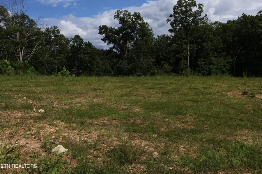 1016 Northbridge Close, Kingston, TN 37763 - #3