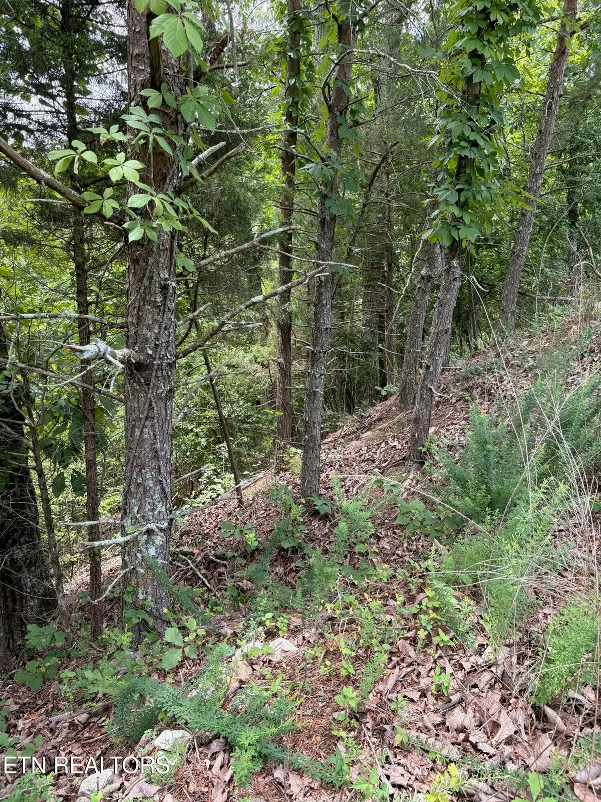 Flint Ridge Road, Lot 417, Rockwood, TN 37854 - #1