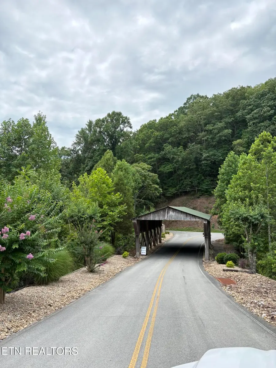 Flint Ridge Road, Lot 417, Rockwood, TN 37854 - #3