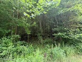 State Highway 1534, Pineville, KY 40977