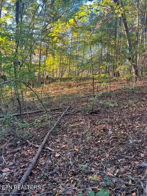 196 Woodstock Drive #Lot 176, Rutledge, TN 37861