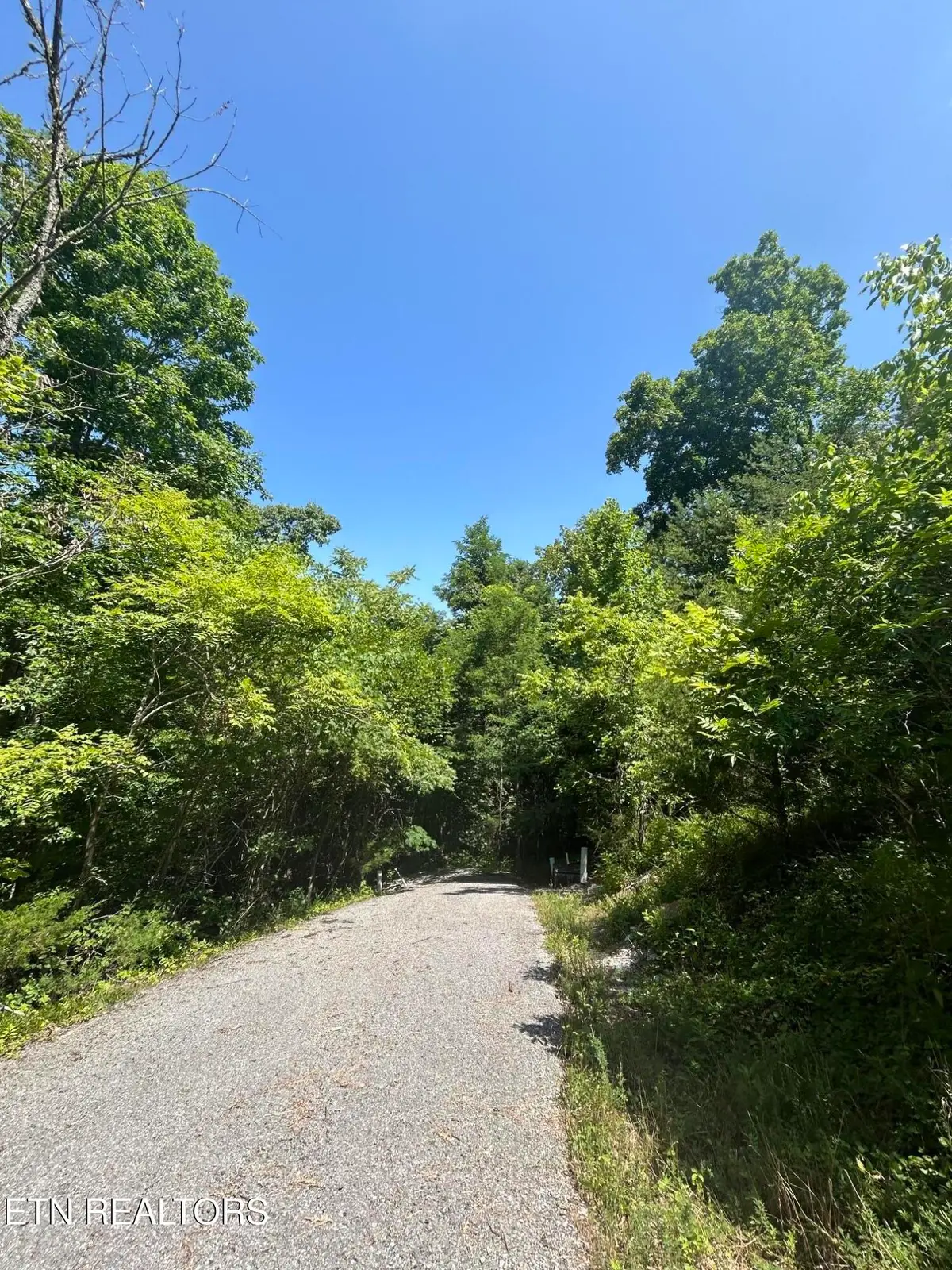 lot 713 Russell Brothers, Sharps Chapel, TN 37866 - #1
