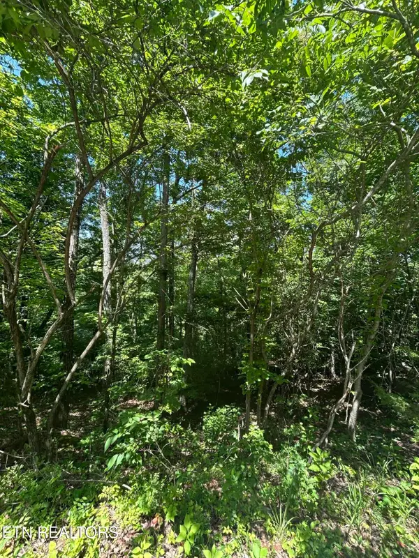 lot 714 Russell Brothers Rd, Sharps Chapel, TN 37866