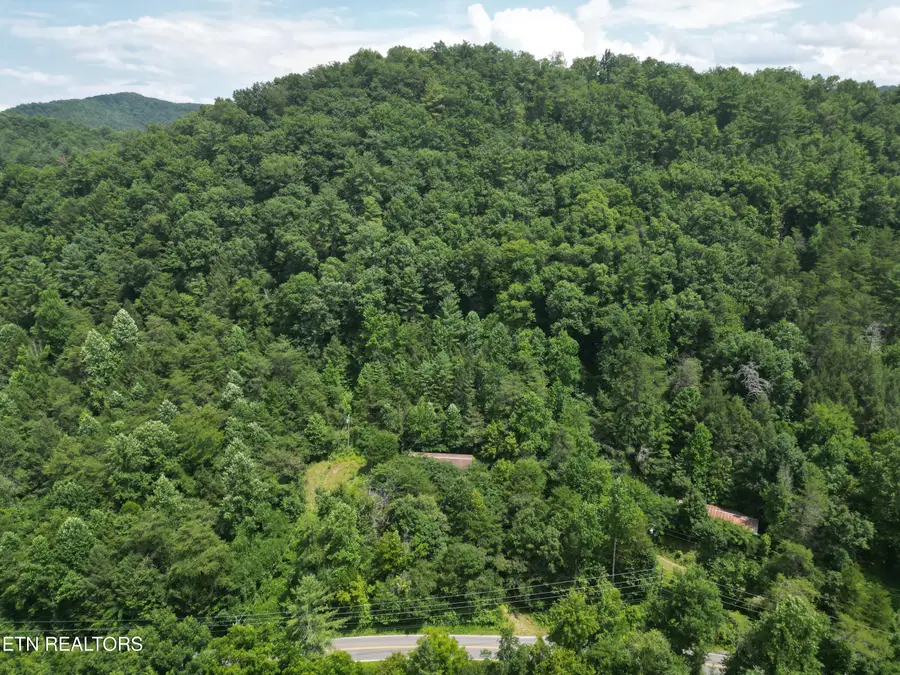 3576 Wilhite Rd, Pigeon Forge, TN 37876 - #2