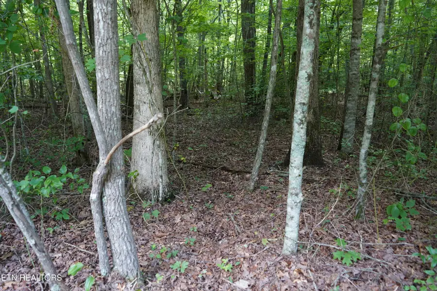 W Laurel Way, Monterey, TN 38574 - #3