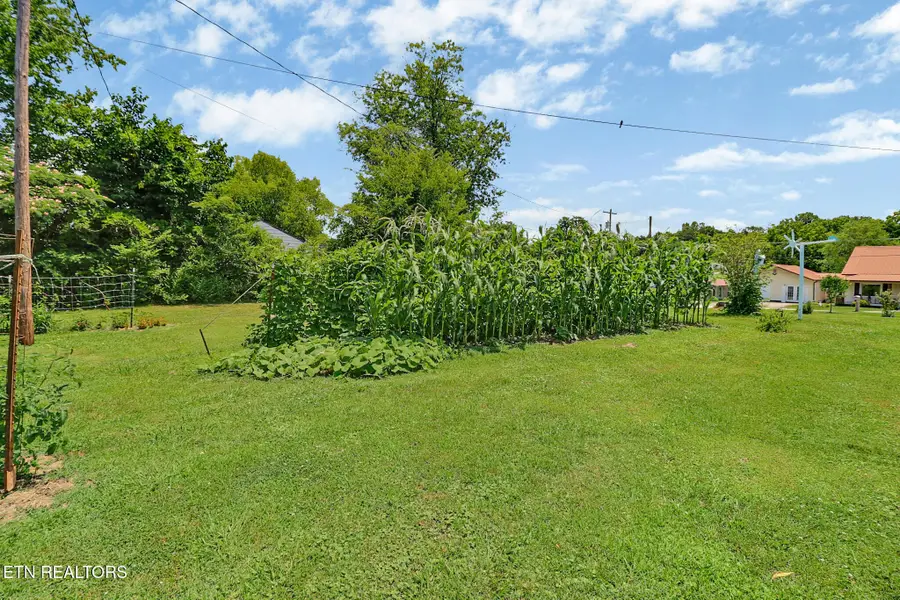 211 Omega St, Harriman, TN 37748 - #3
