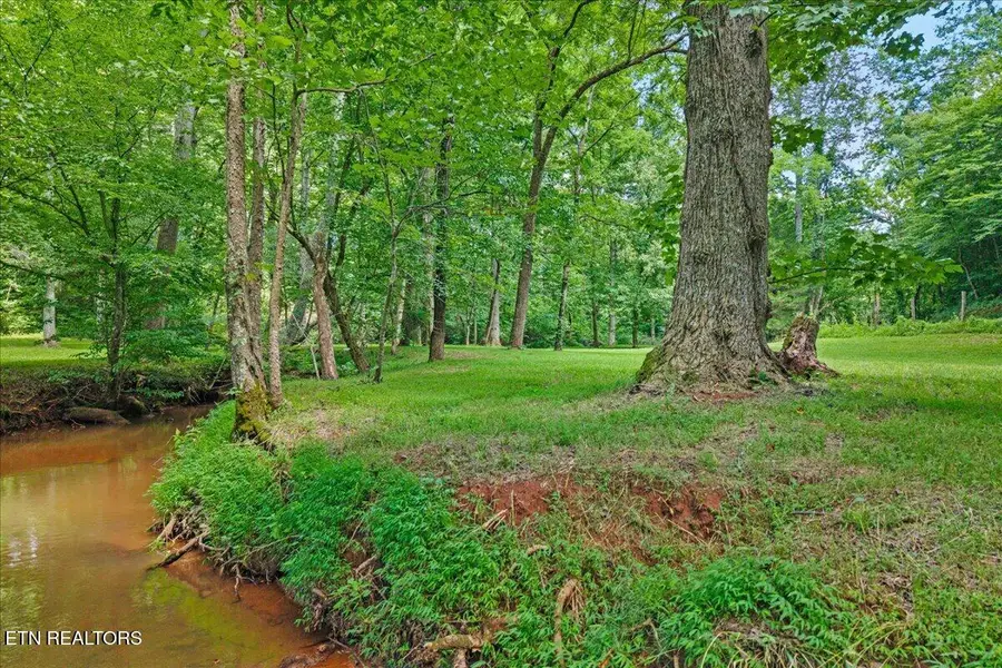 Brunner Rd, Madisonville, TN 37354 - #3