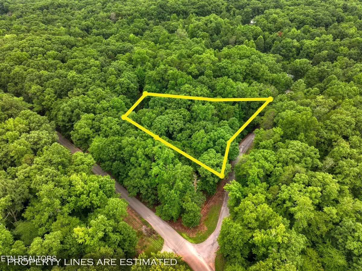 Lake Overlook Drive, Rockwood, TN 37854 - #1