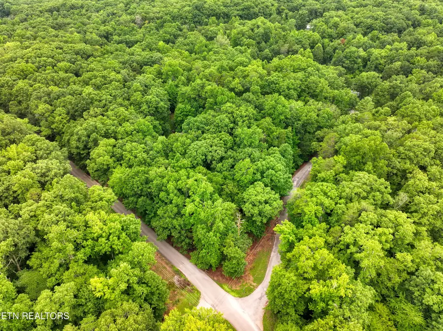 Lake Overlook Drive, Rockwood, TN 37854 - #3