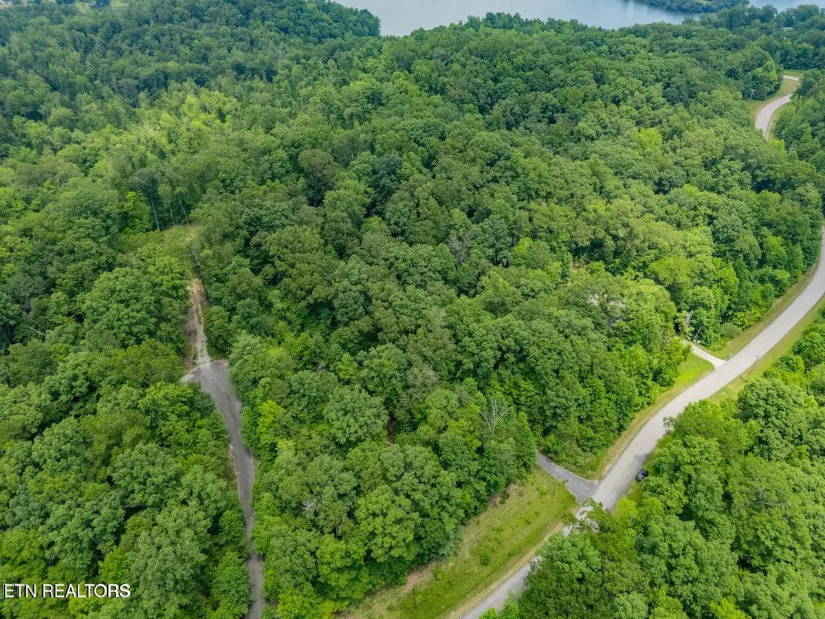 Crystal Springs Rd, Rockwood, TN 37854 - #1