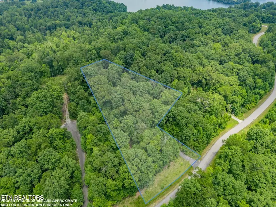 Crystal Springs Rd, Rockwood, TN 37854 - #3