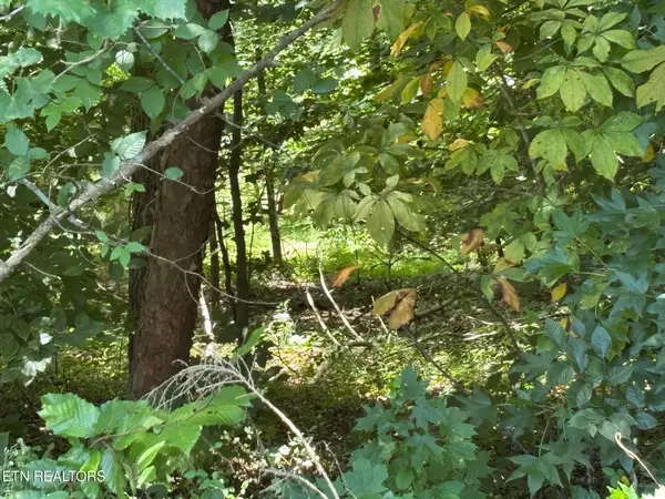 Shoreside Rd #lot 322, New Tazewell, TN 37825