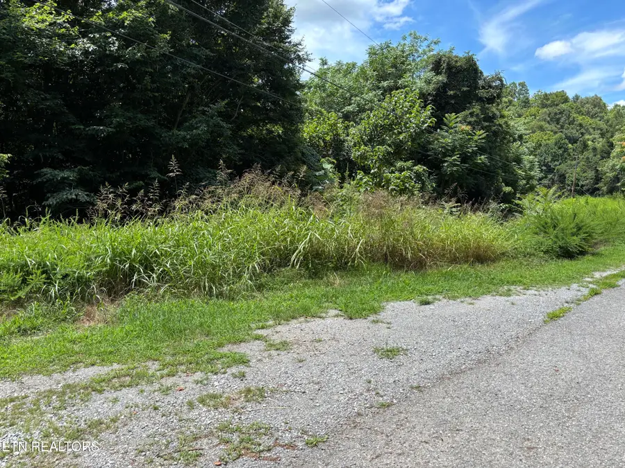 Shoreside Rd #lot 322, New Tazewell, TN 37825 - #2