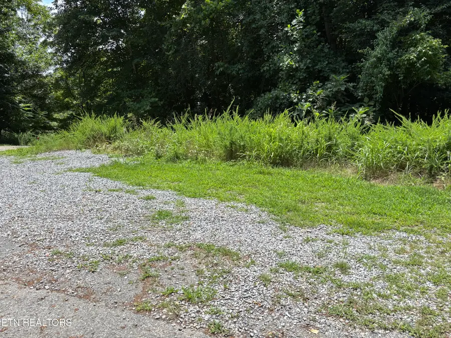 Shoreside Rd #lot 322, New Tazewell, TN 37825 - #3