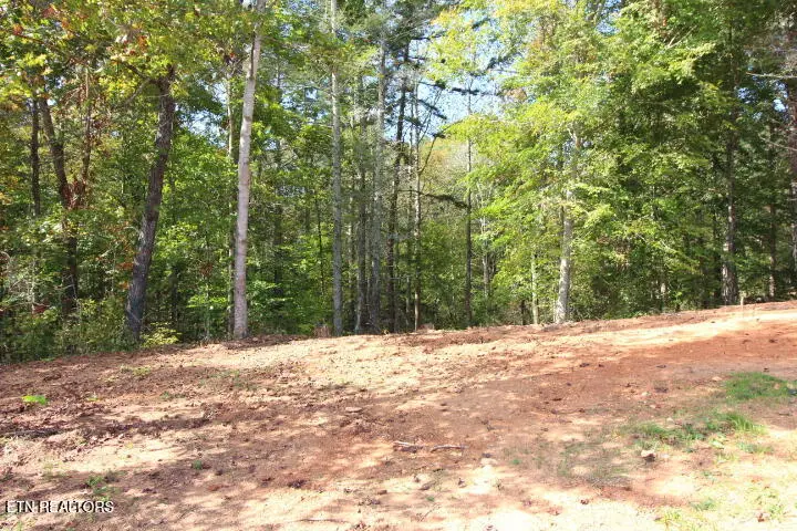 523 Rudd Hollow Rd, Townsend, TN 37882 - #1
