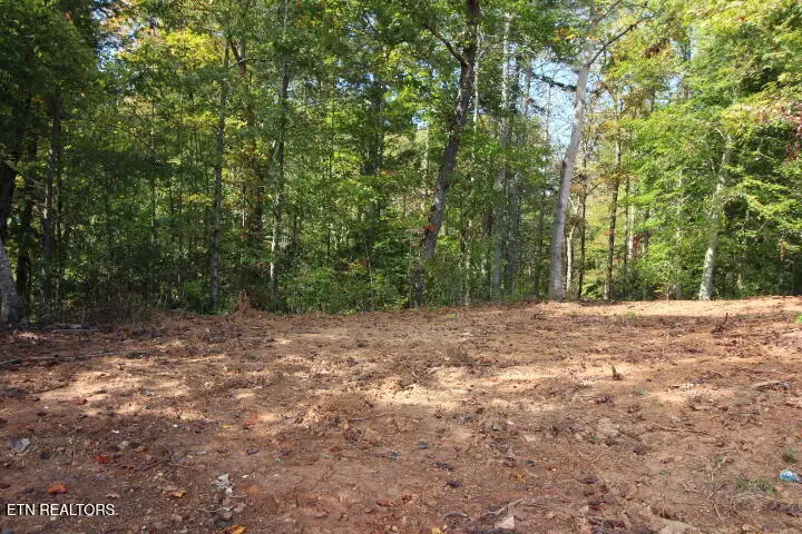 523 Rudd Hollow Rd, Townsend, TN 37882 - #3