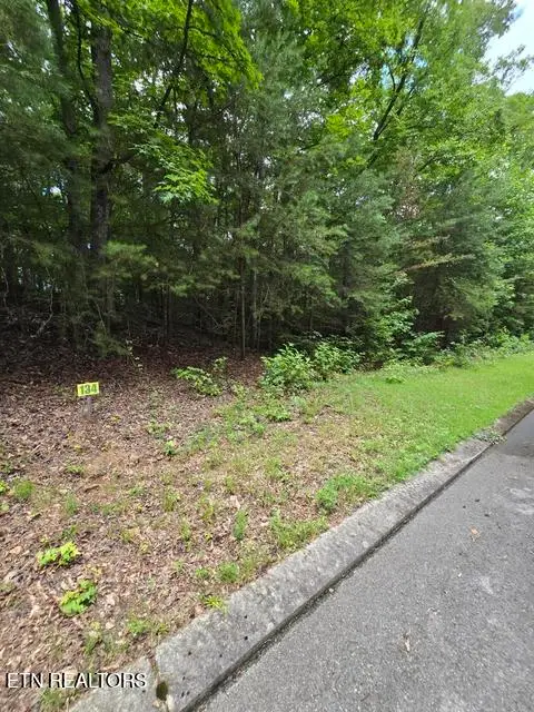Lot 134 Lower Brow Rd, Dunlap, TN 37327 - #2