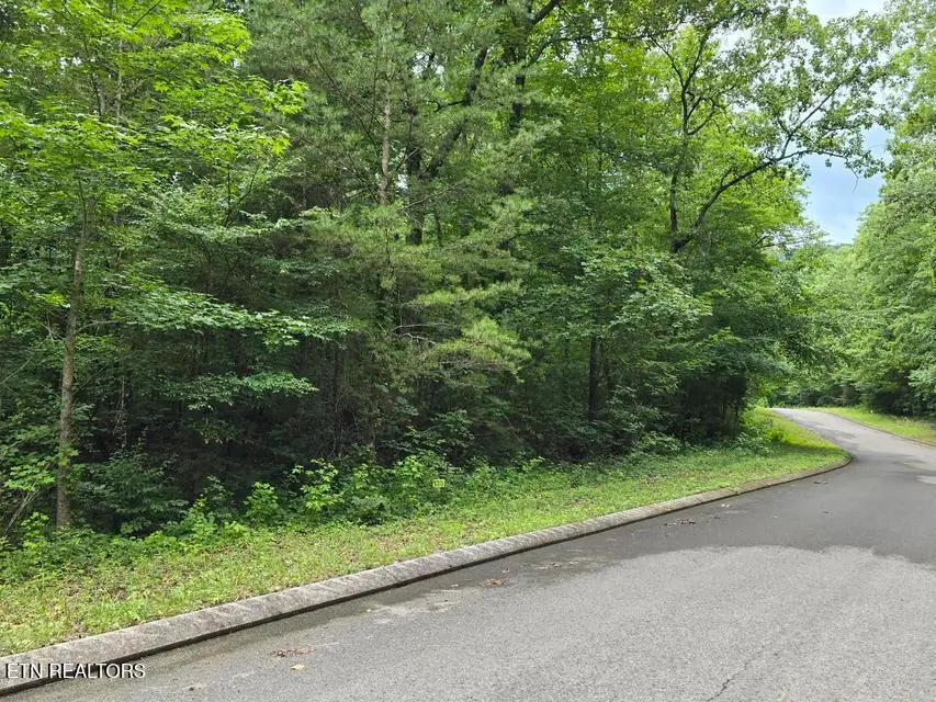 Lot 135 Lower Brow Rd, Dunlap, TN 37327 - #1