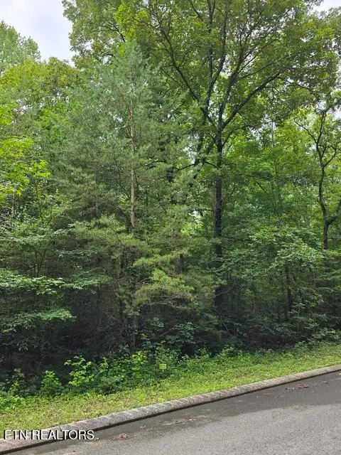 Lot 135 Lower Brow Rd, Dunlap, TN 37327 - #2