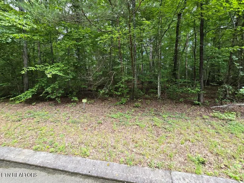 Lot 136 Lower Brow Rd, Dunlap, TN 37327 - #2