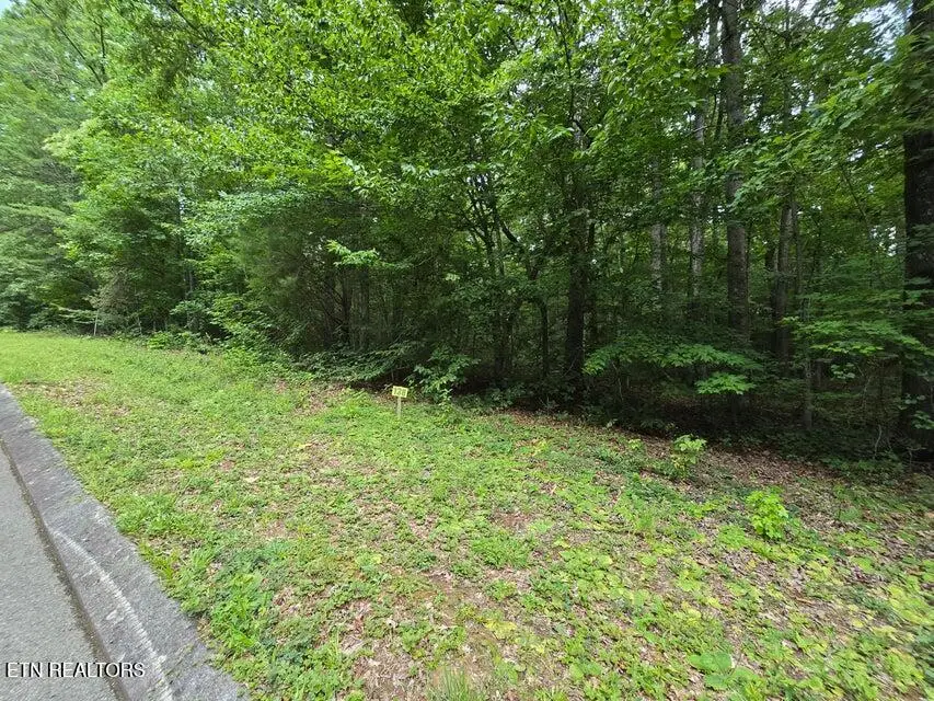Lot 138 Lower Brow Rd, Dunlap, TN 37327 - #1