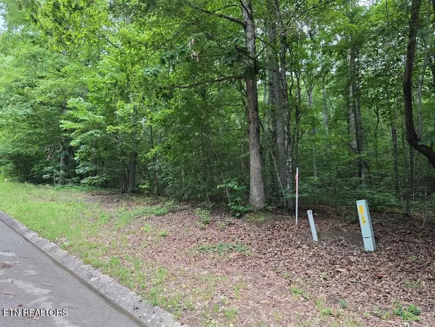 Lot 138 Lower Brow Rd, Dunlap, TN 37327 - #2