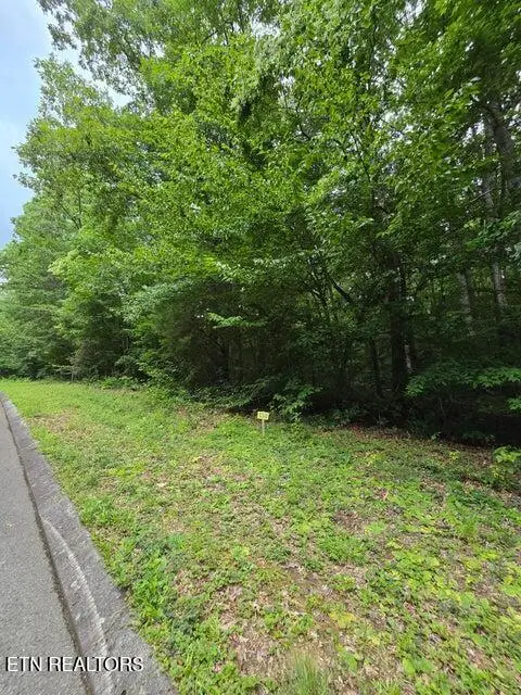 Lot 138 Lower Brow Rd, Dunlap, TN 37327 - #3