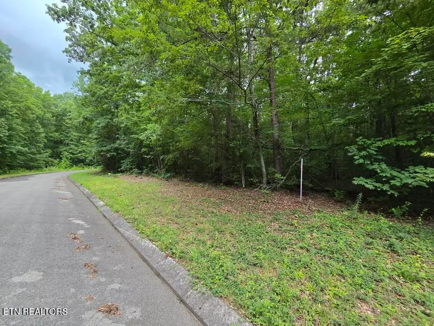 Lot 140 Lower Brow Rd, Dunlap, TN 37327 - #2
