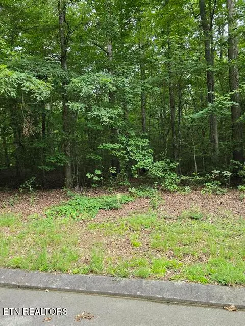 Lot 140 Lower Brow Rd, Dunlap, TN 37327 - #3