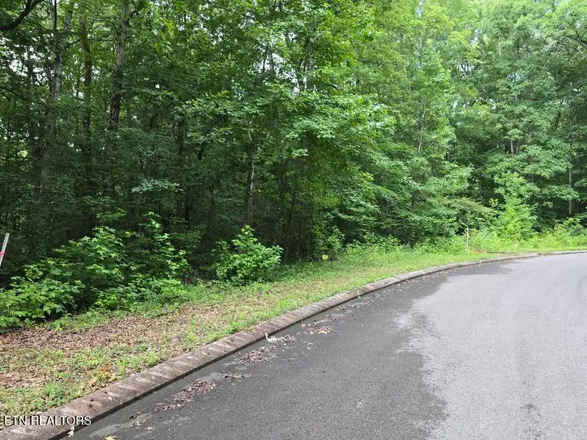 Lot 141 Lower Brow Rd, Dunlap, TN 37327 - #1