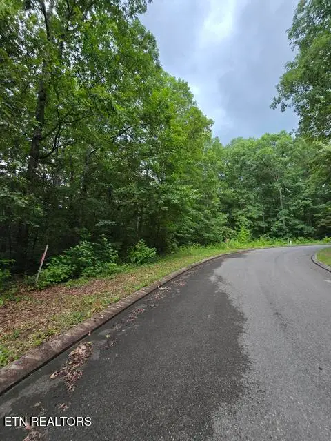 Lot 141 Lower Brow Rd, Dunlap, TN 37327 - #2