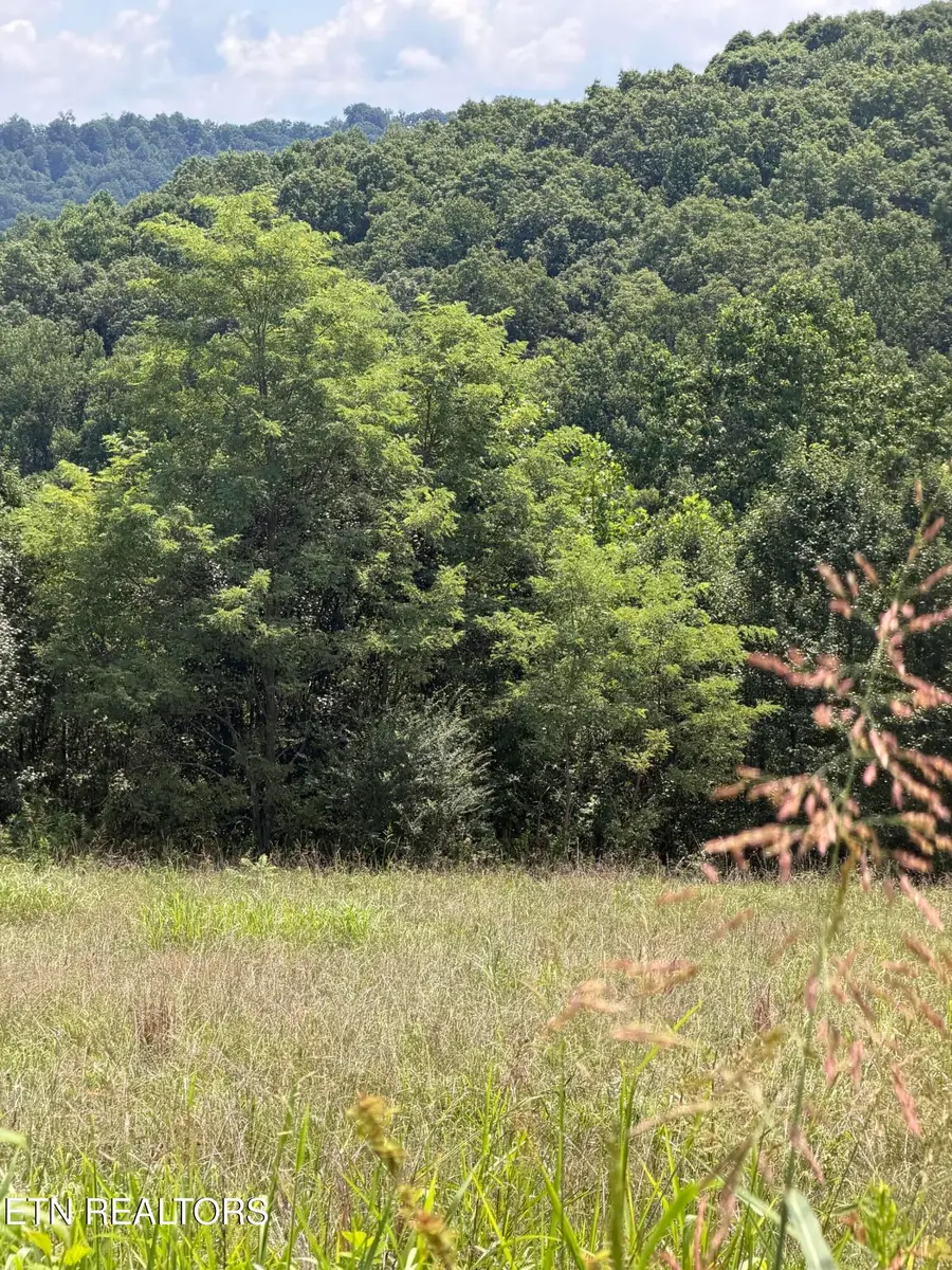 Iron Works Rd, Harrogate, TN 37752 - #2