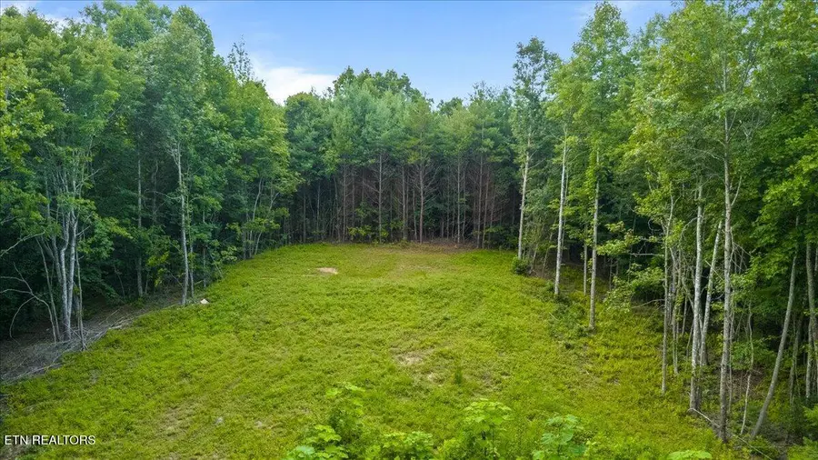 638 Jane Phillips Rd, Oneida, TN 37841 - #2