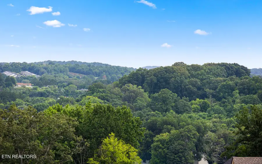 402 Sugar Maple Trail Tr, Lenoir City, TN 37771 - #3