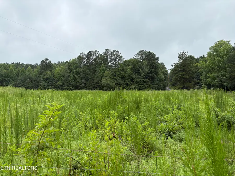 County Rd 42, Calhoun, TN 37309 - #3