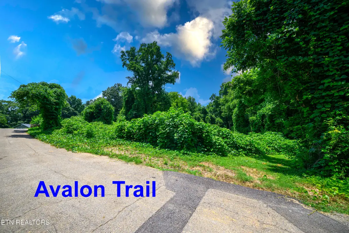 0 Avalon, Knoxville, TN 37920 - #1