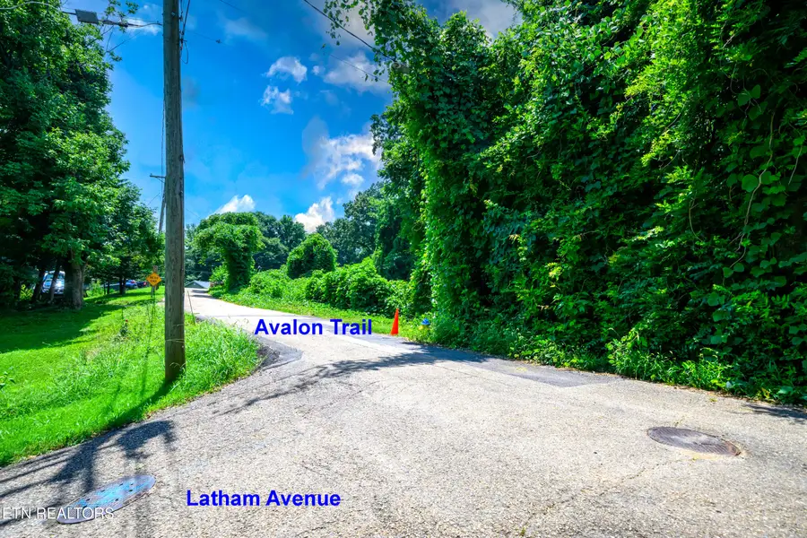 0 Avalon, Knoxville, TN 37920 - #3