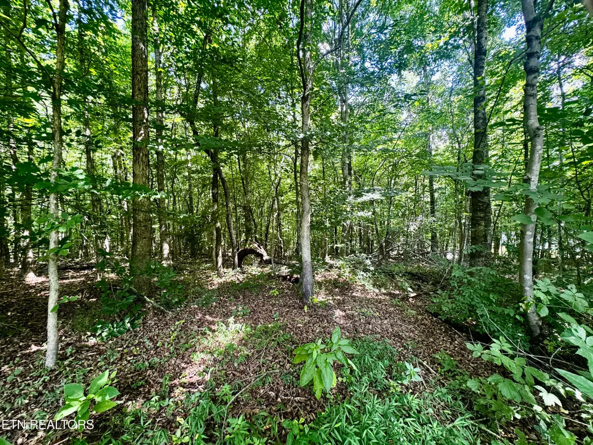 0 Greenwell Rd, Knoxville, TN 37938 - #1