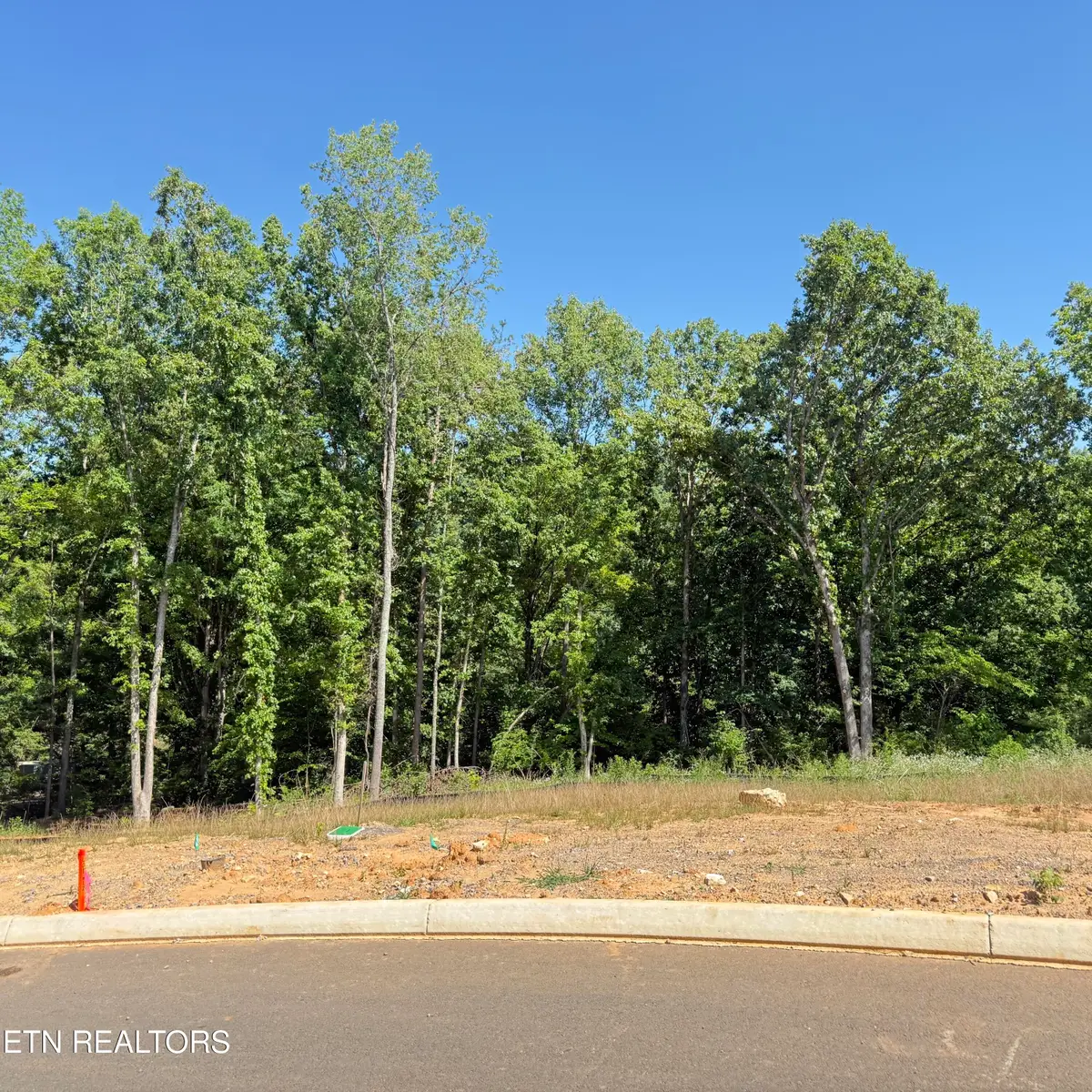 2828 SW Shorewoood Point, Morristown, TN 37813 - #1